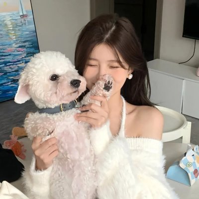 Π情歌